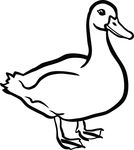 Free Clipart Of A Duck
