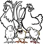 Free Clipart Of A Chicken Family