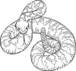 Free Clipart Of A Rattlesnake