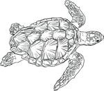 Free Clipart Of A Sea Turtle