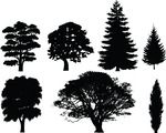 Free Clipart Of 7 Tree Silhouettes