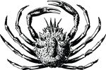 Free Clipart Of A Crab