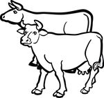 Free Clipart Of A Pair Of Cows