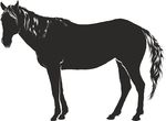 Free Clipart Of A Horse