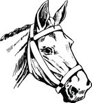 Free Clipart Of A Horse Head