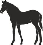 Free Clipart Of A Horse
