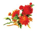 Free Clipart Of Flowers