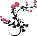 Free Clipart Of A Black And Pink Rose Design