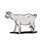 Free Clipart Of A Goat