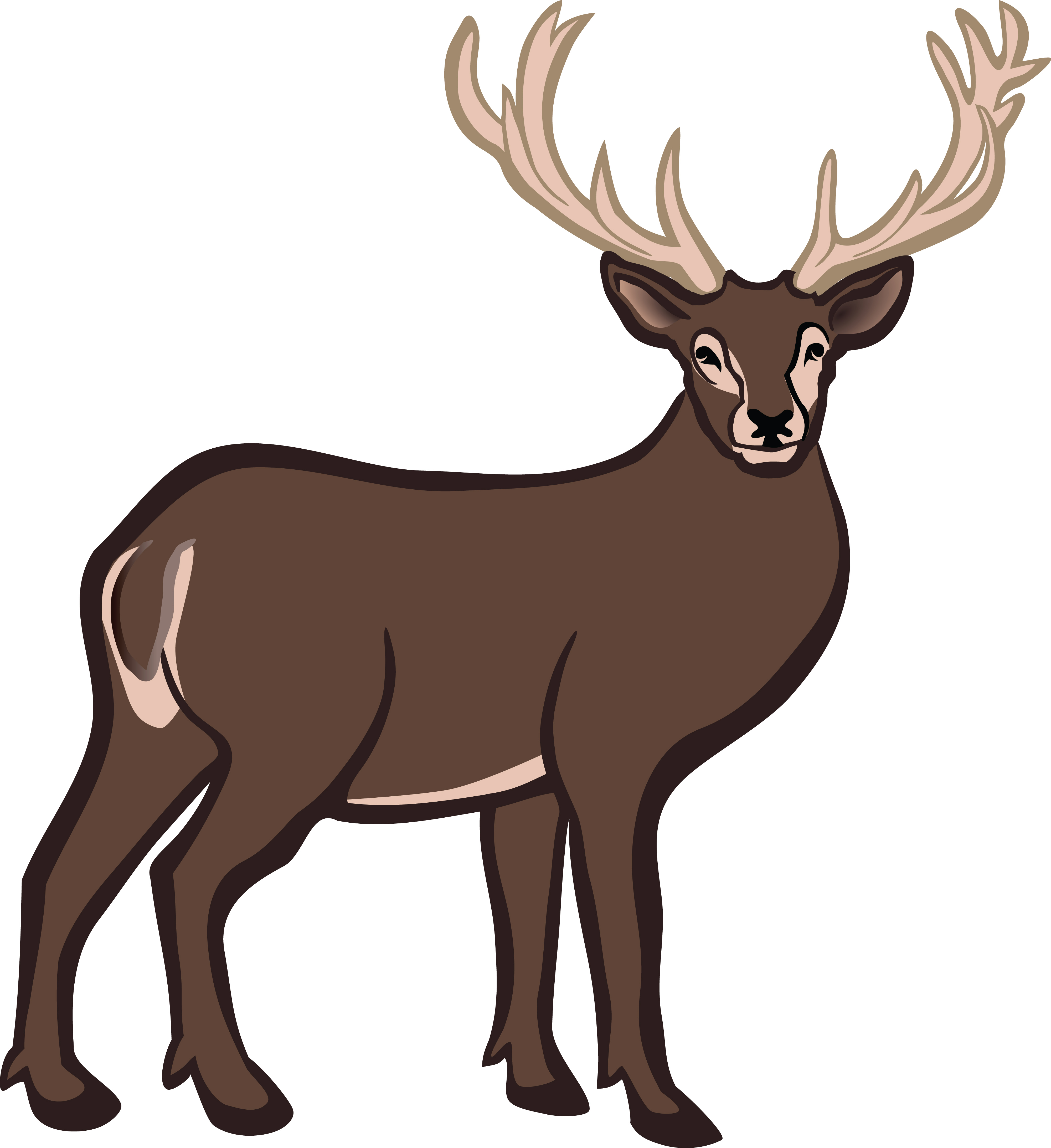 Free Clipart Of A buck deer