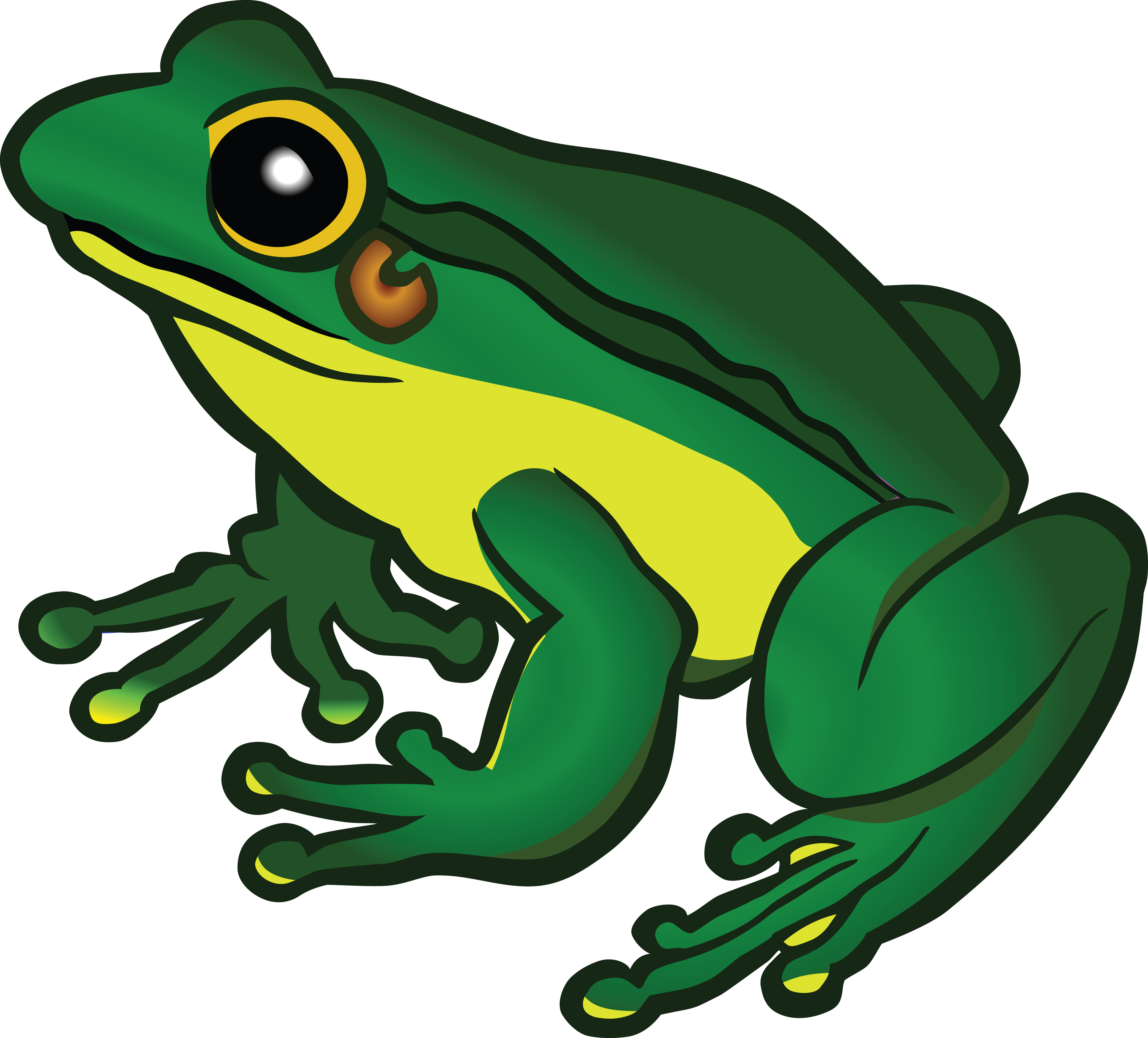 clipart of a frog - photo #30