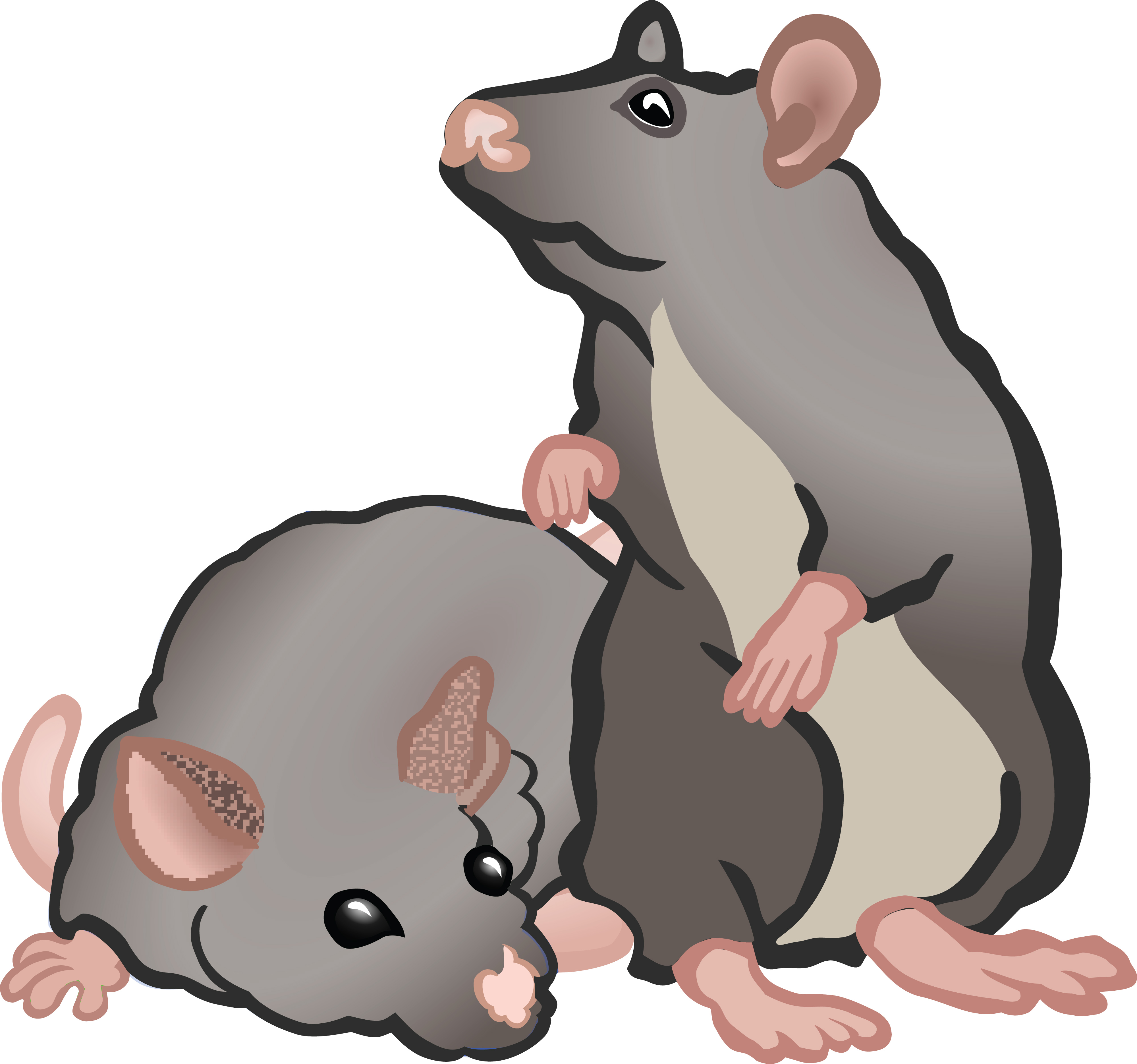 Free Clipart Of rats or mice