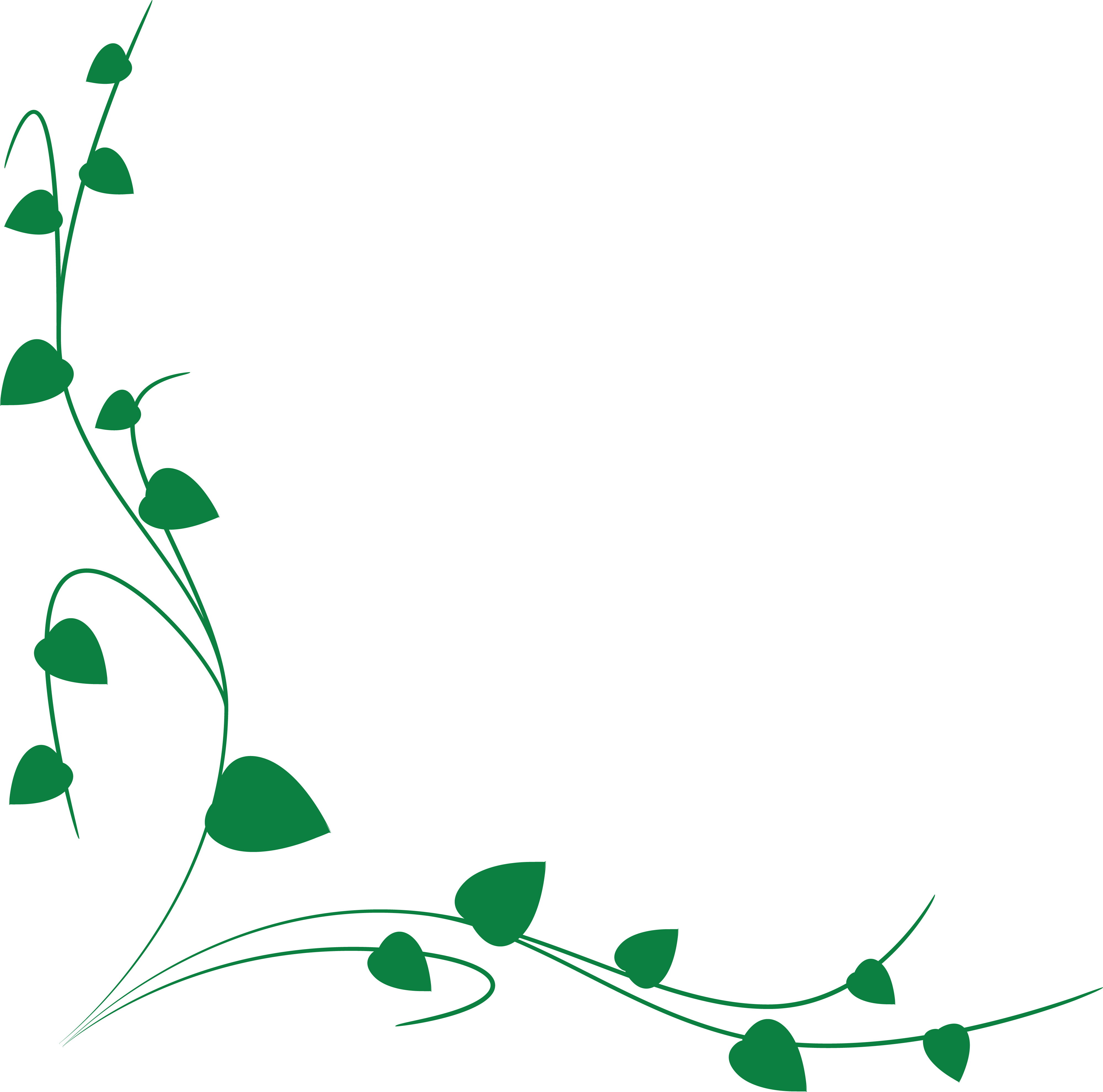 Download Free Clipart Of A green vine border