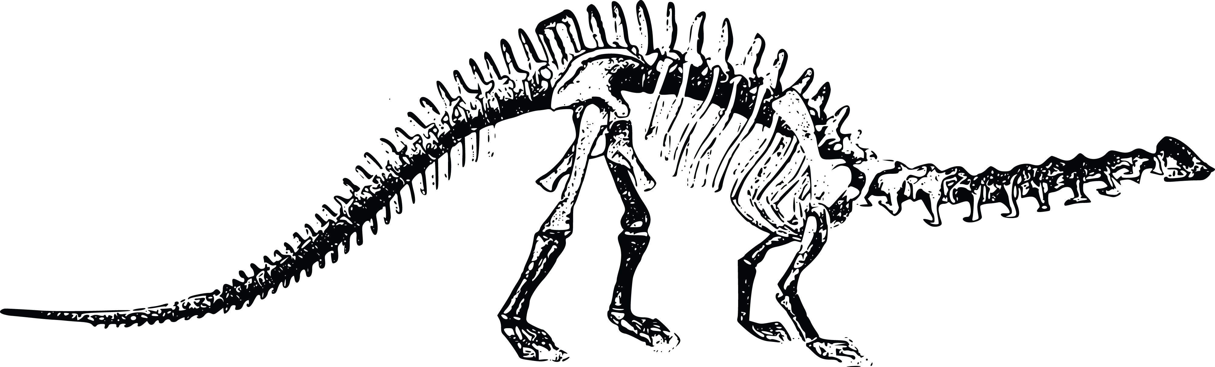 Dinosaur Skeleton SVG