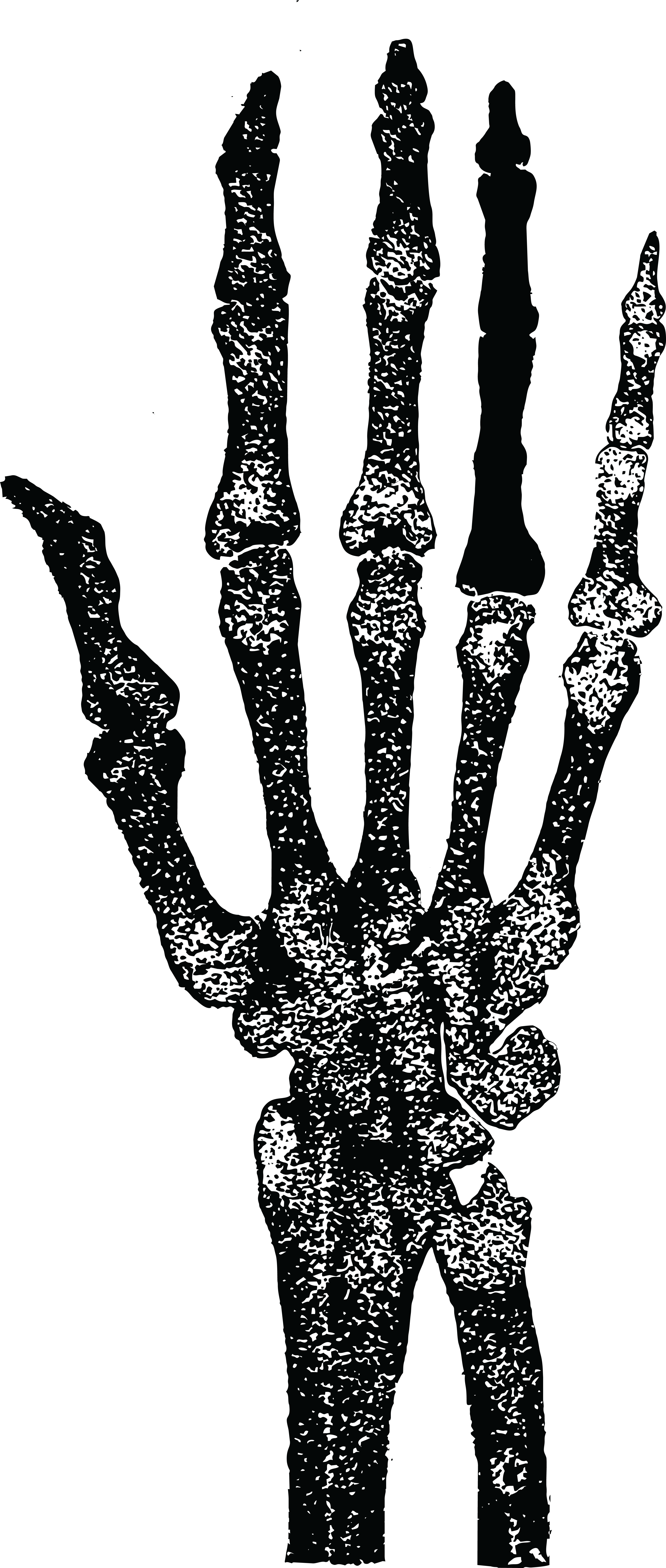 Skeleton Hand Transparent