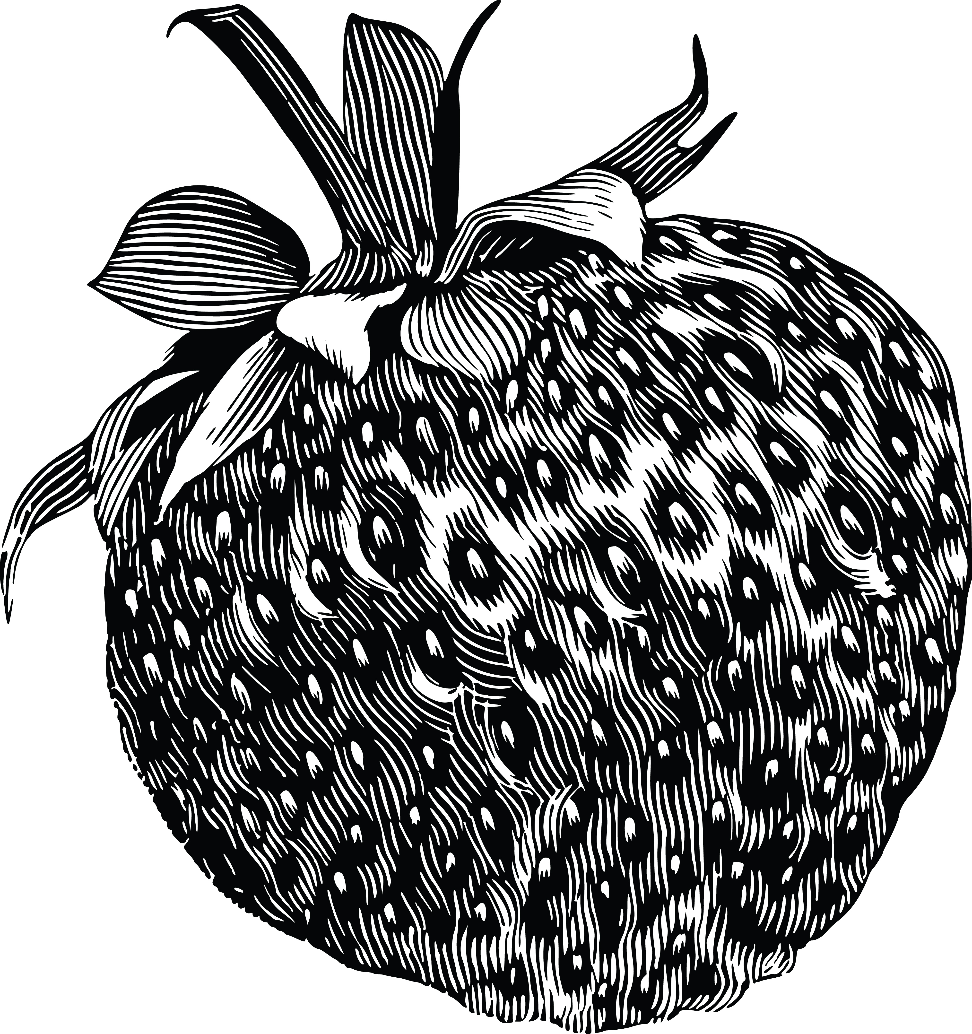 strawberry clip art black and white