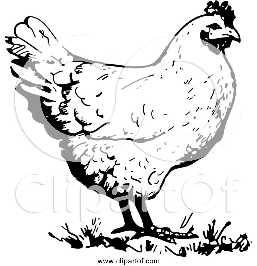 Free Clipart of a Chicken - Black and White