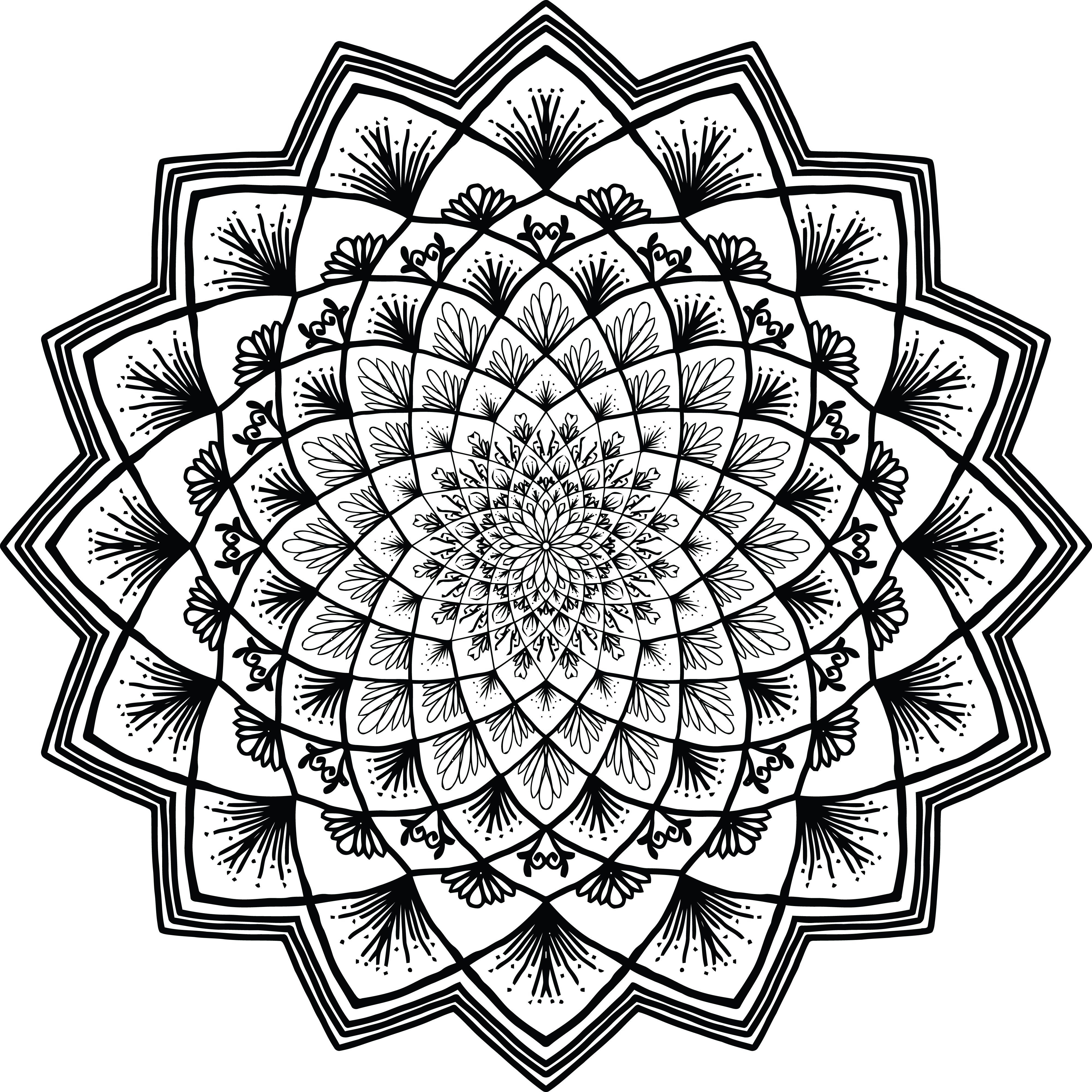 Free Clipart Of A Black And White Adult Coloring Page Floral Mandala