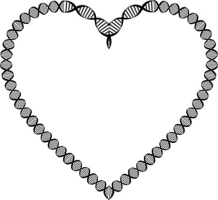 Free Clipart Of A DNA Double Helix Strand Heart Frame
