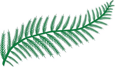 Free Clipart Of A Fern