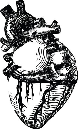 Free Clipart of a Human Heart in Black and white