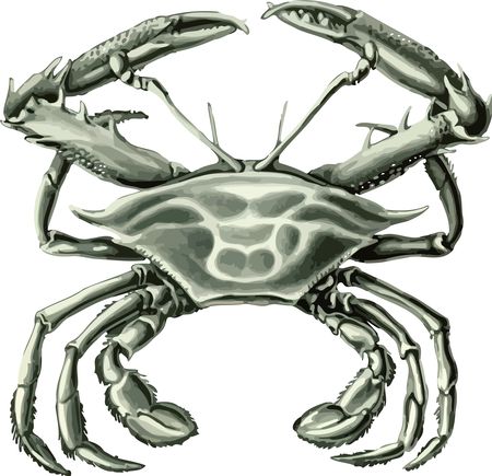Free Clipart Of A crab