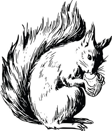 Free Clipart Of A squirrel and acorn