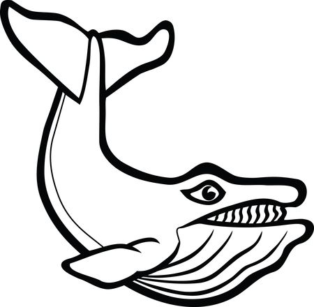 Free Clipart Of A whale