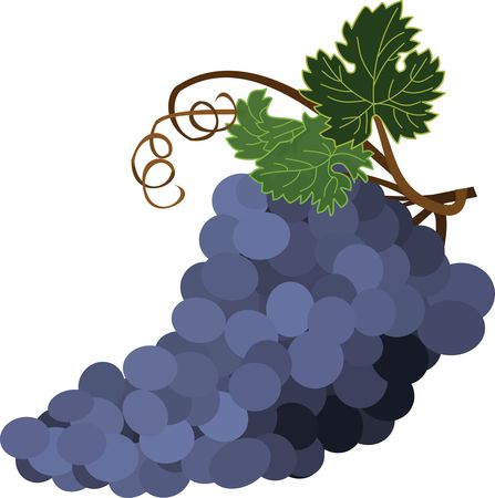 Free Clipart Of grapes