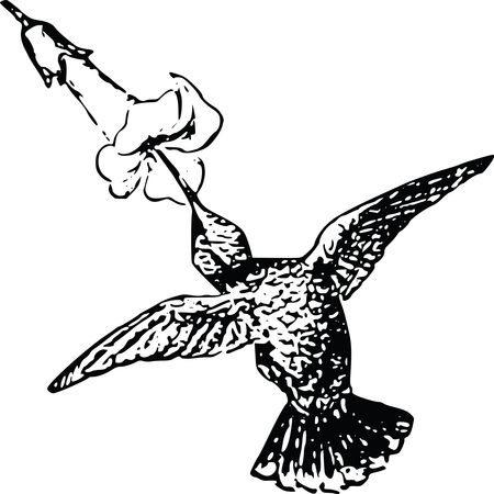 Free Clipart Of A hummingbird