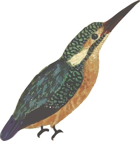 Free Clipart Of A kingfisher bird