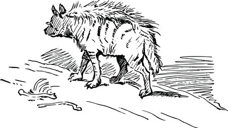 Free Clipart Of A hyena