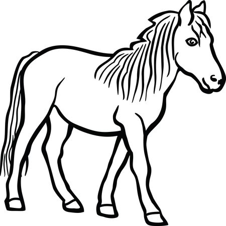 Free Clipart Of A horse