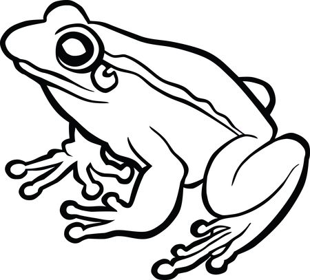 Free Clipart Of A frog