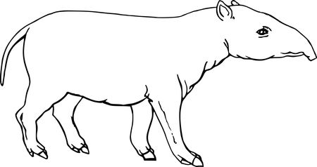 Free Clipart Of A tapir