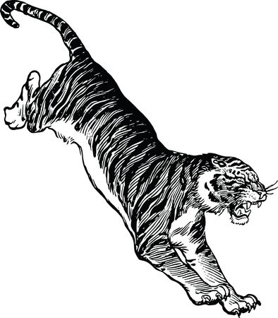 Free Clipart Of A tiger attacking