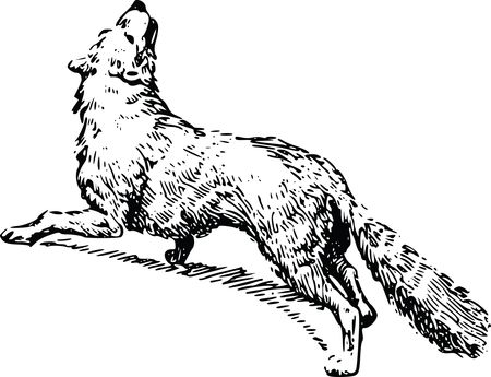 Free Clipart Of A fox