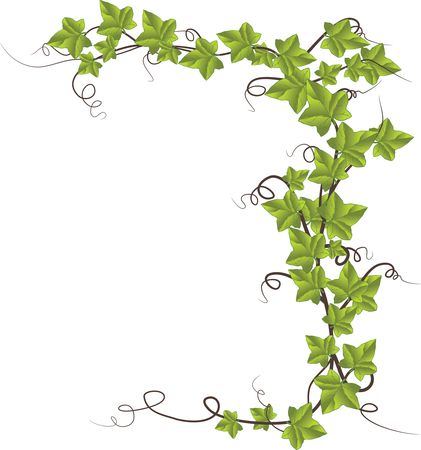 Free Clipart Of An ivy border