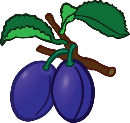Free Clipart Of plums