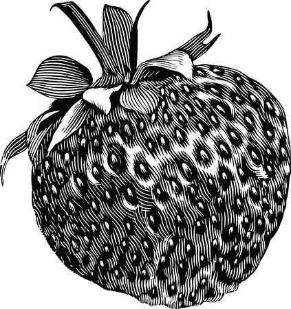 Free Clipart Of A strawberry