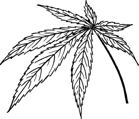 Free Clipart Of a cannabis leaf