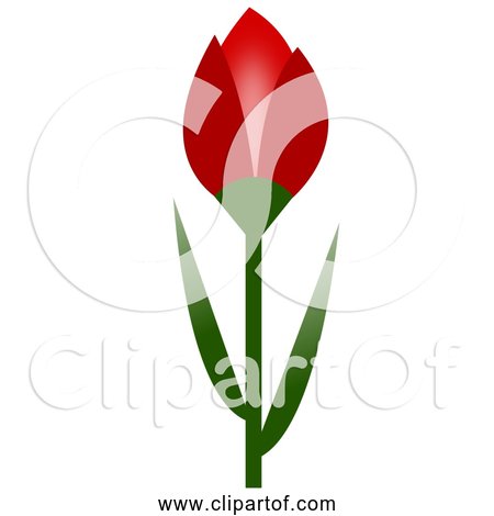 Free Clipart of Simple Red Tulip Flower