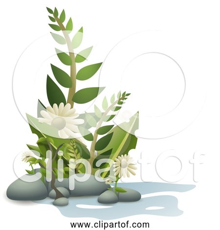 Free Clipart of Fern Plants, Pebbles, and Flowers
