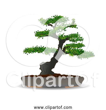 Free Clipart of Bonsai Tree in Pot