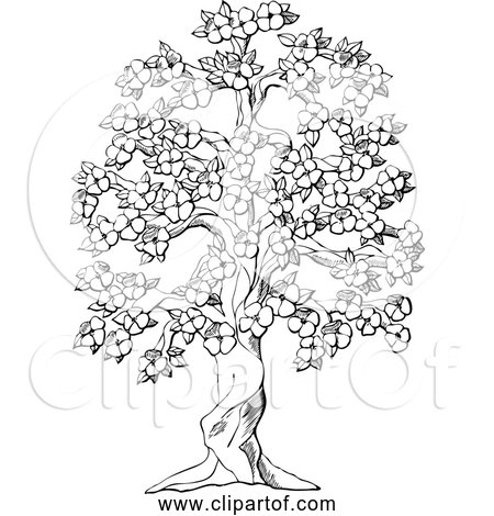 Free Clipart of Flowering Tree in Black and White