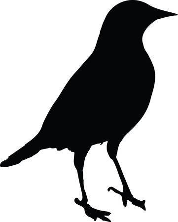 Free Clipart of a black silhouetted bird