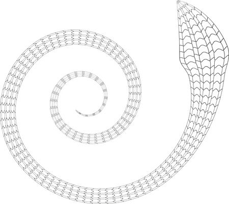 Free Clipart Of A black and white coiled spiral snake