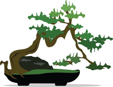 Free Clipart of a Bonsai Tree