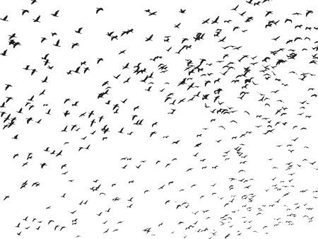 Free Clipart of a flock of birds