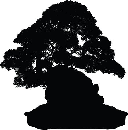 Free Clipart of a Silhouetted Bonsai Plant